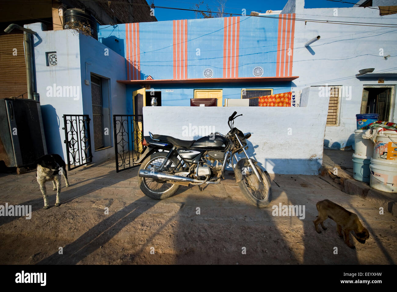 India, Rajasthan, Bikaner, traditional house Stock Photo Alamy