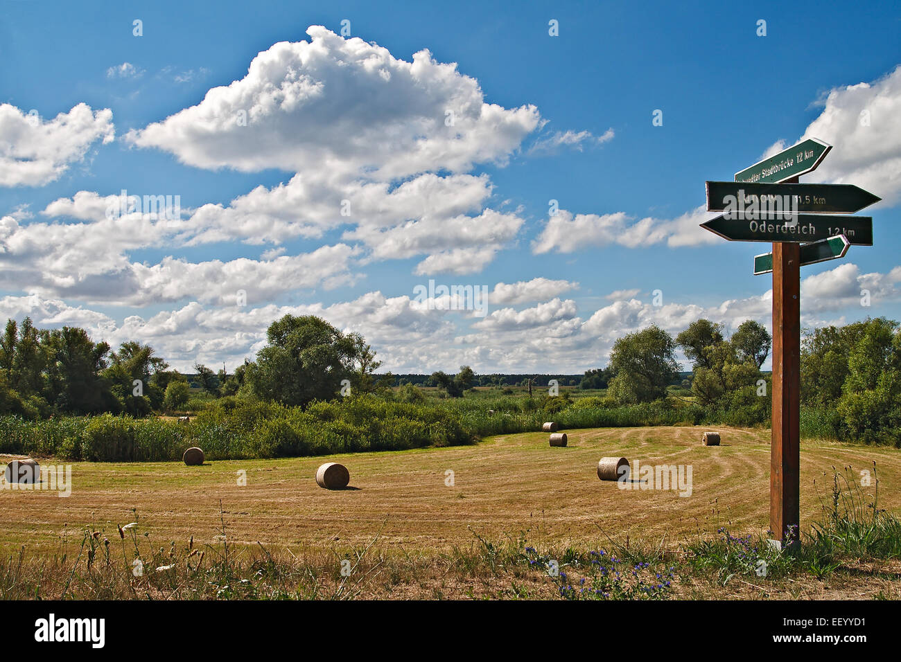 Landwirtschaft hi-res stock photography and images - Alamy