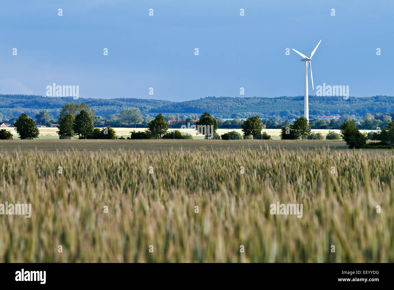 A windmill in a field. Stock Photo