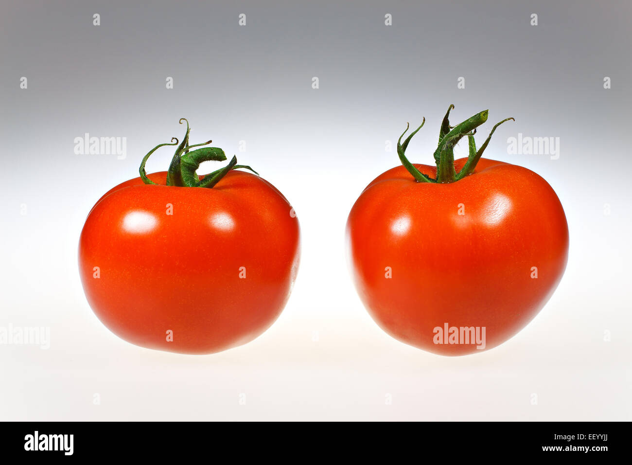 Two tomatoes Stock Photo