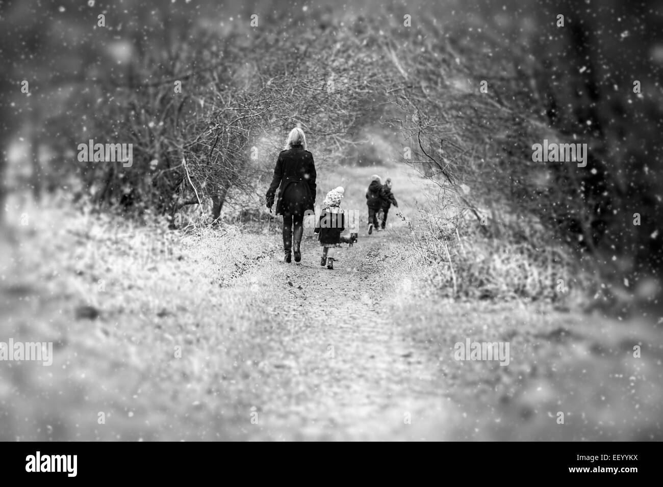 Mother with children on walking dog in woods snowing Stock Photo