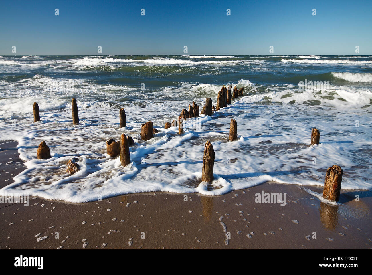 On a sunny day on the Baltic coast. Stock Photo