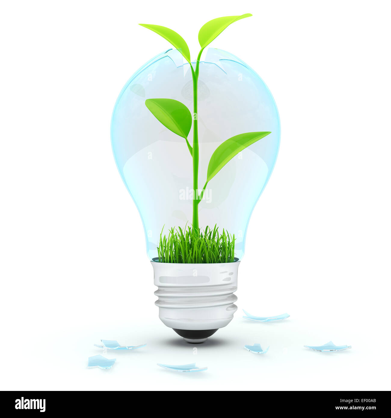 Light bulb with green plant inside Stock Photo - Alamy