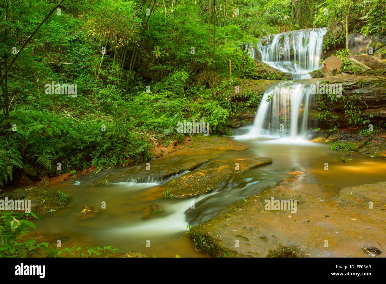 tropical waterfall in the Bamboo forest. Yibin, Sichuan, China Stock ...