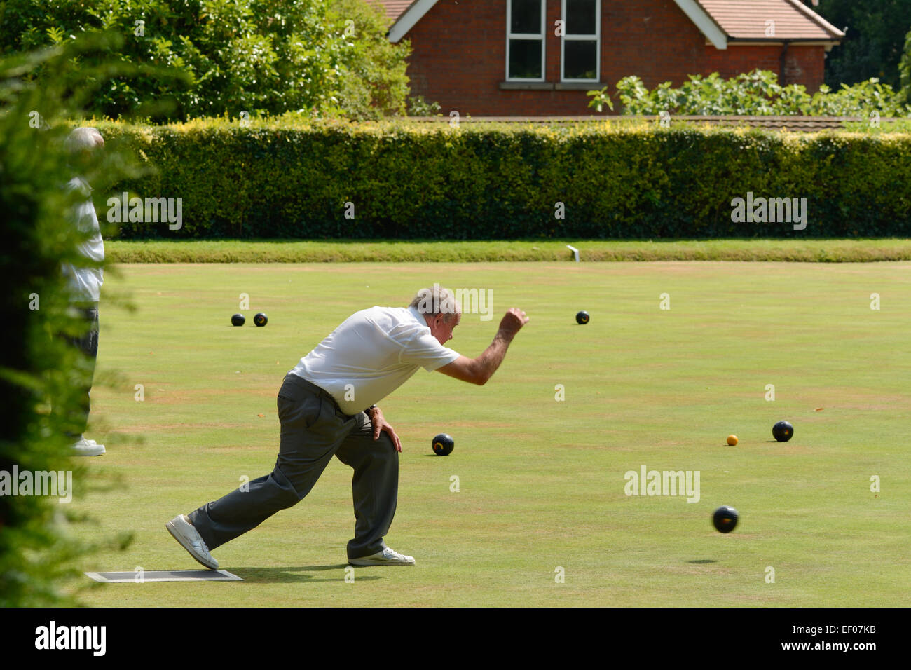 Man playing bowls on bowling green in Bedford Park, Bedford, Bedfordshire, England Stock Photo
