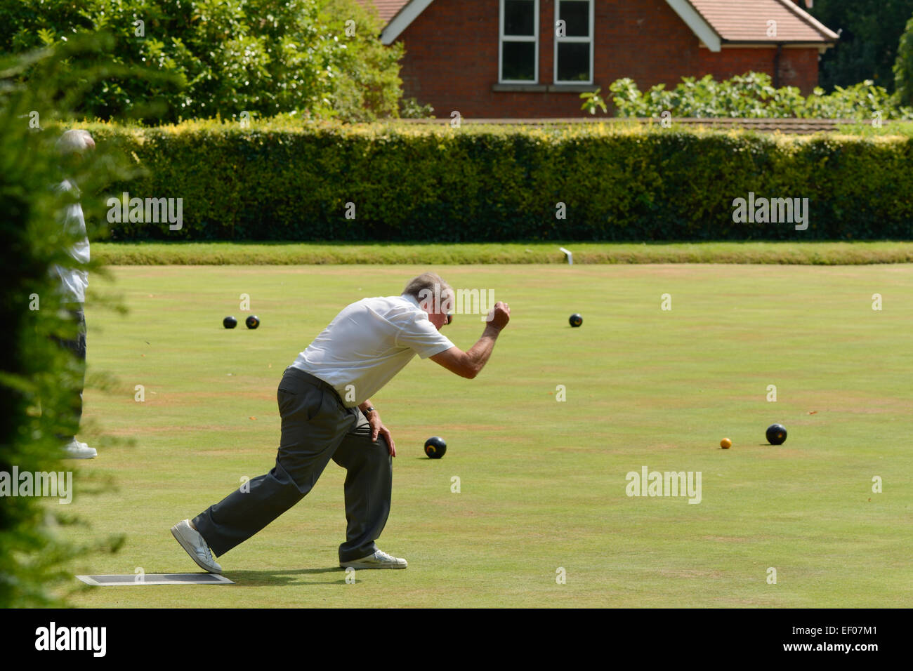 Man playing bowls on bowling green in Bedford Park, Bedford, Bedfordshire, England Stock Photo
