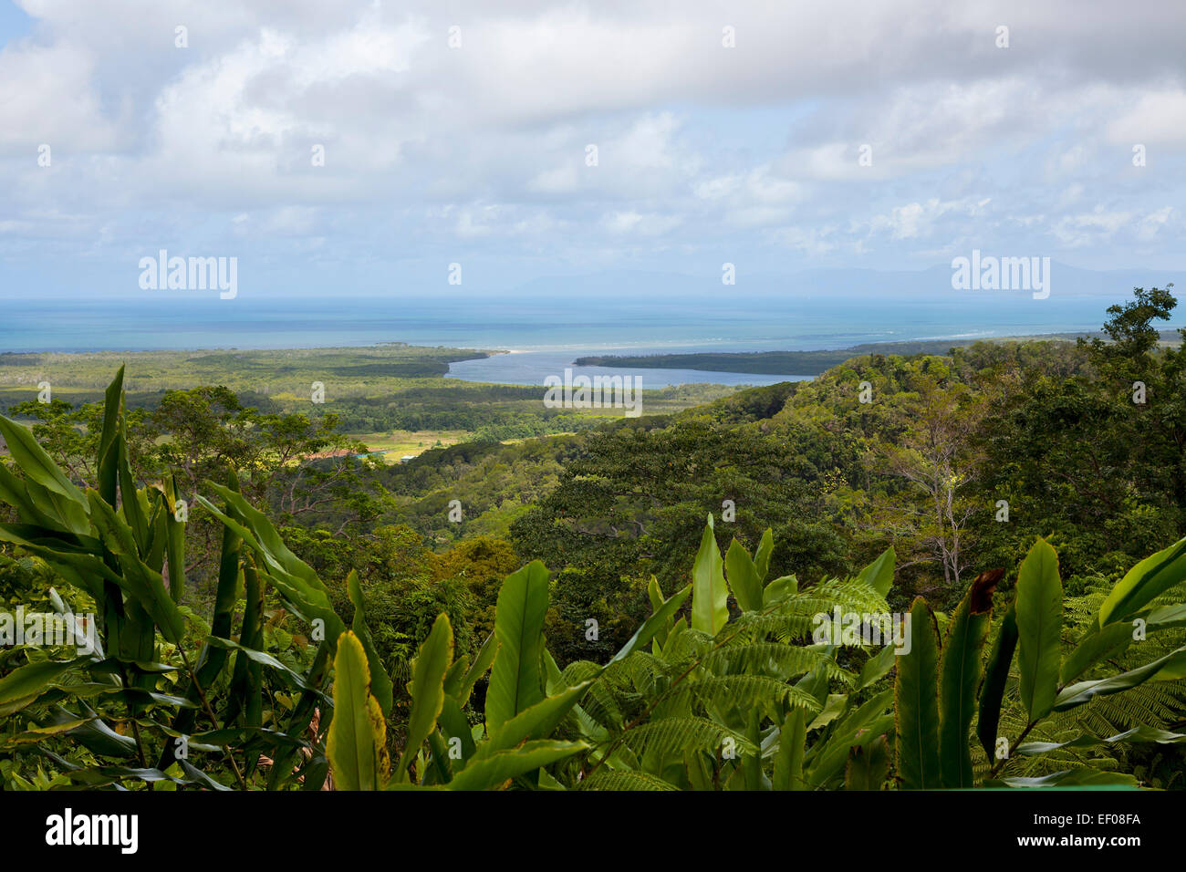 Mount Alexandra lookout with a view of the Daintree River mouth in Queensland,Australia Stock Photo