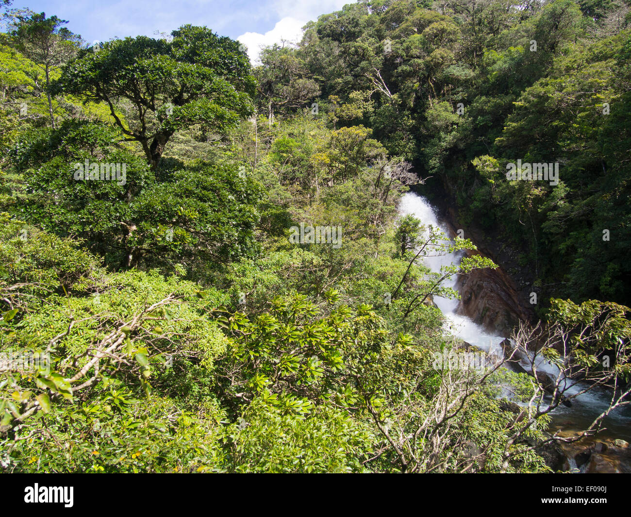 Waterfall in the forest Stock Photo - Alamy