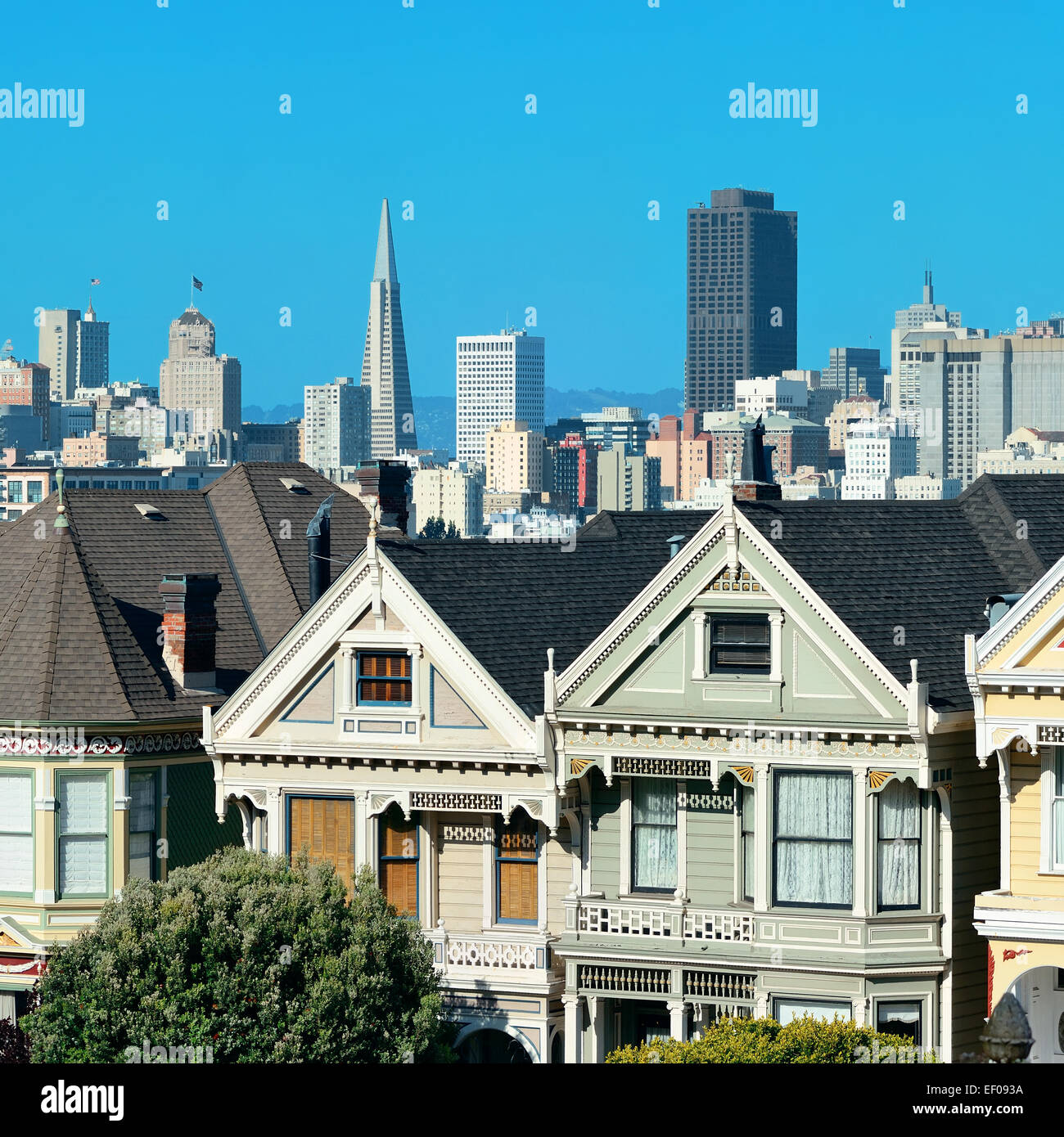 San Francisco city skyline with urban architectures viewed from Alamo Square. Stock Photo