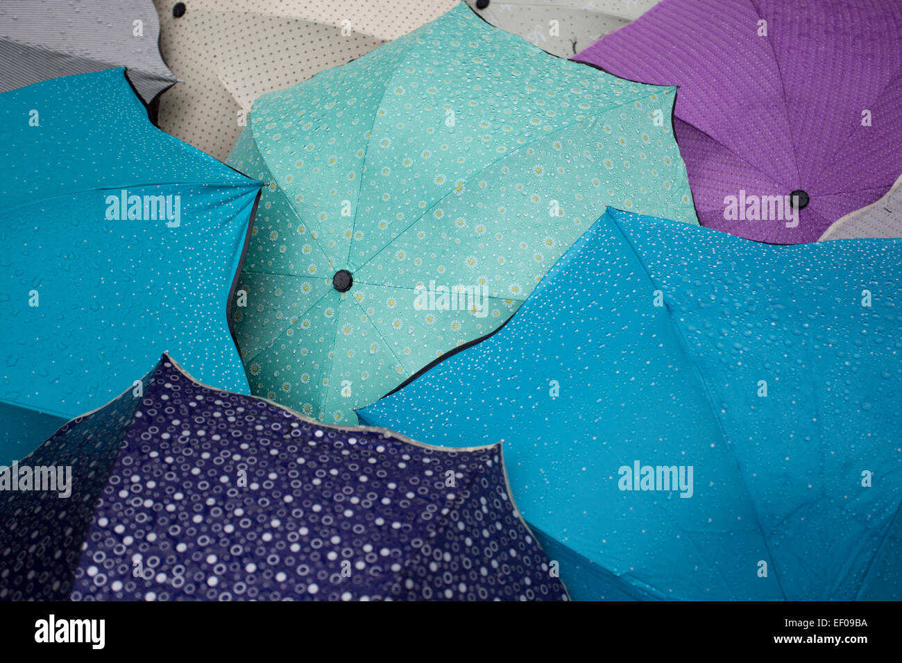 umbrellas in the rain Stock Photo Alamy