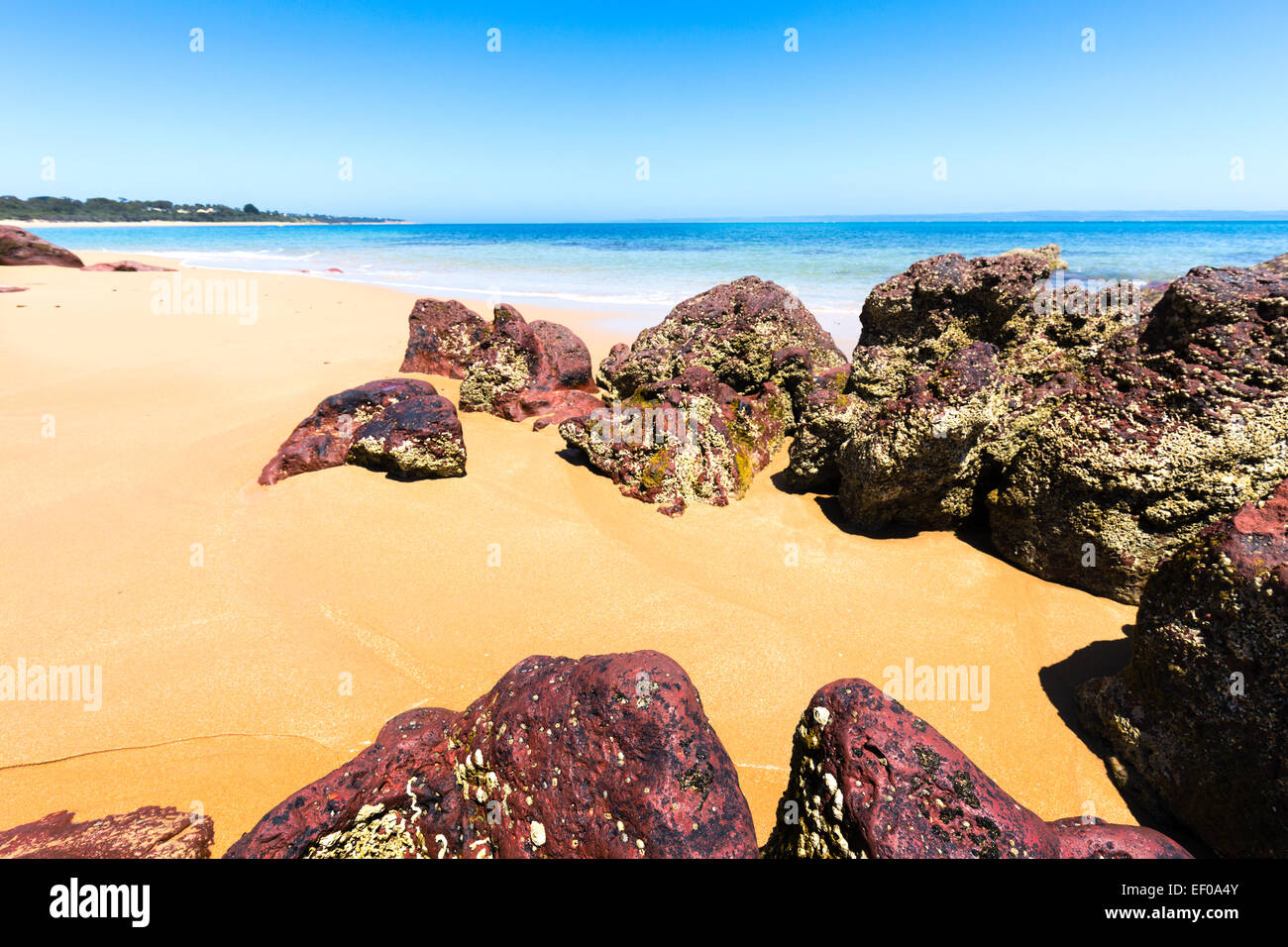 Red Rocks Beach, Phillip Island Victoria, Australia Stock Photo - Alamy