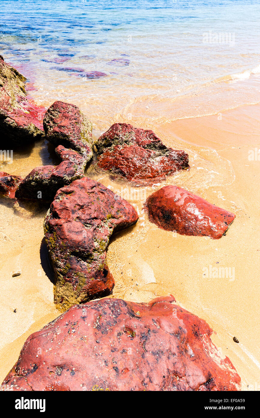 Red Rocks Beach, Phillip Island Victoria, Australia Stock Photo - Alamy