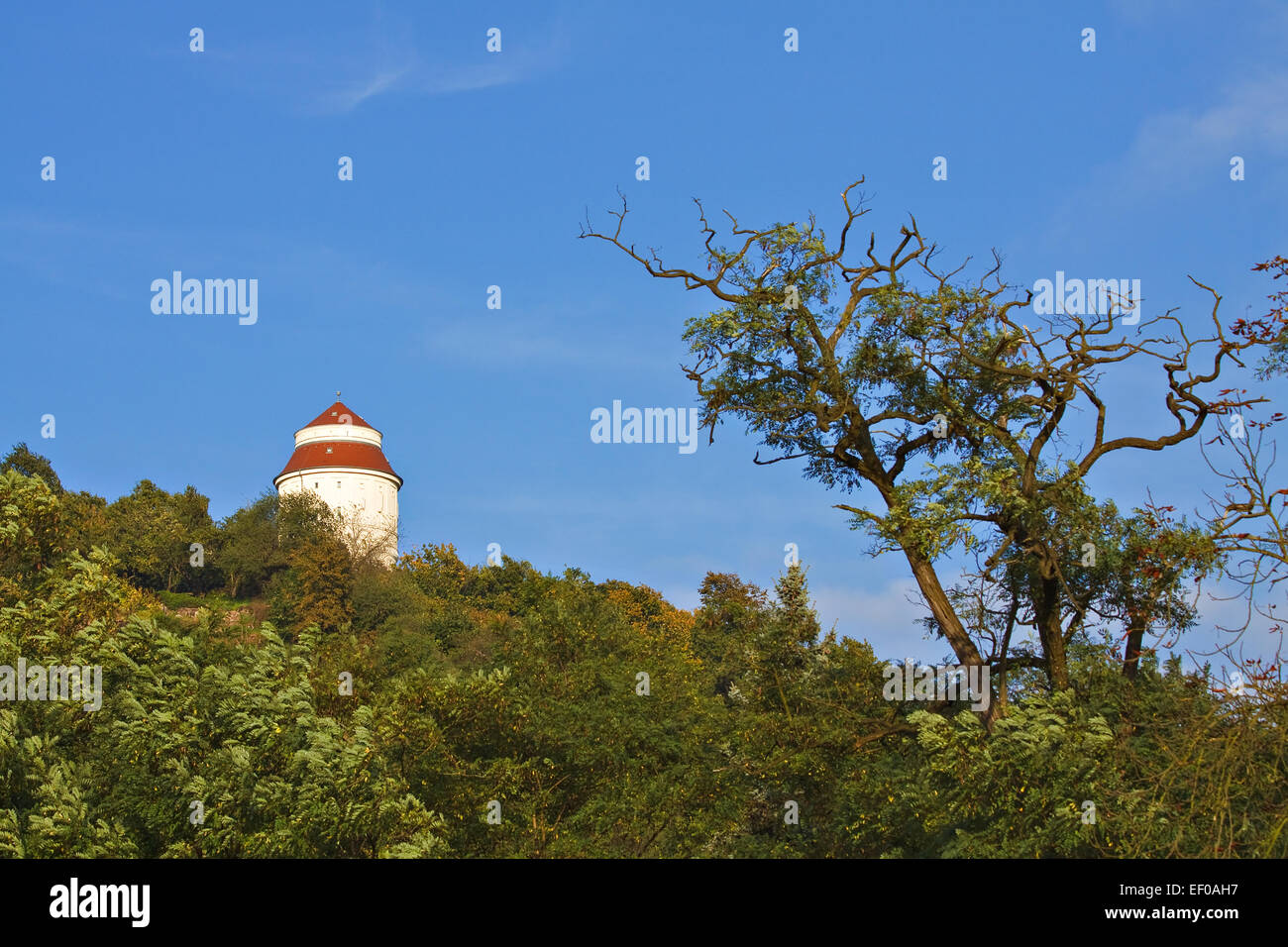Tower in Radebeul. Stock Photo