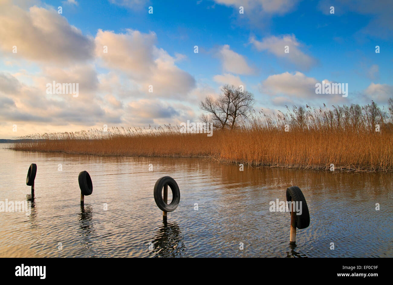 On backwater on Usedom. Stock Photo