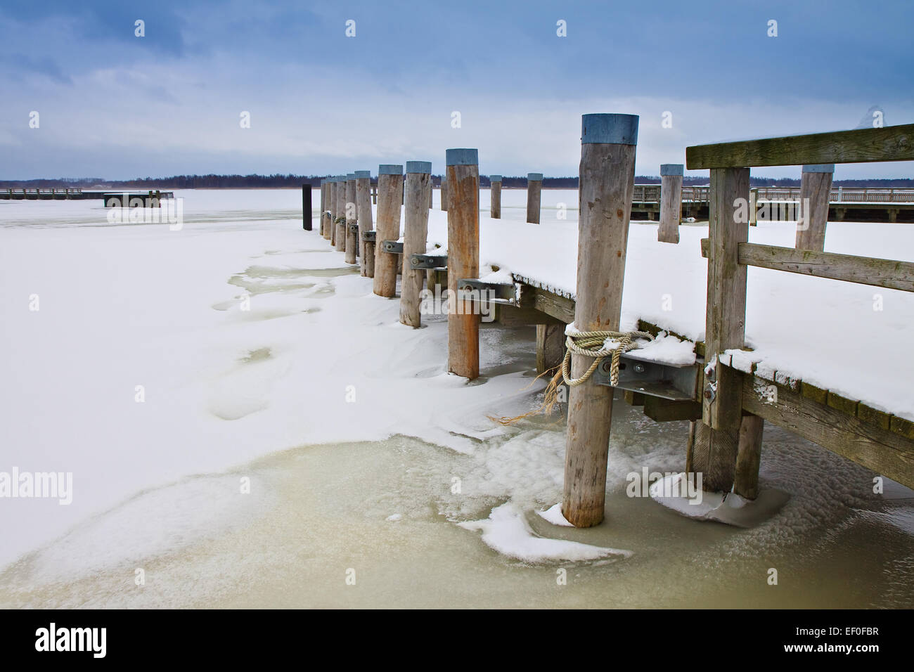 The lagoon in the winter. Stock Photo