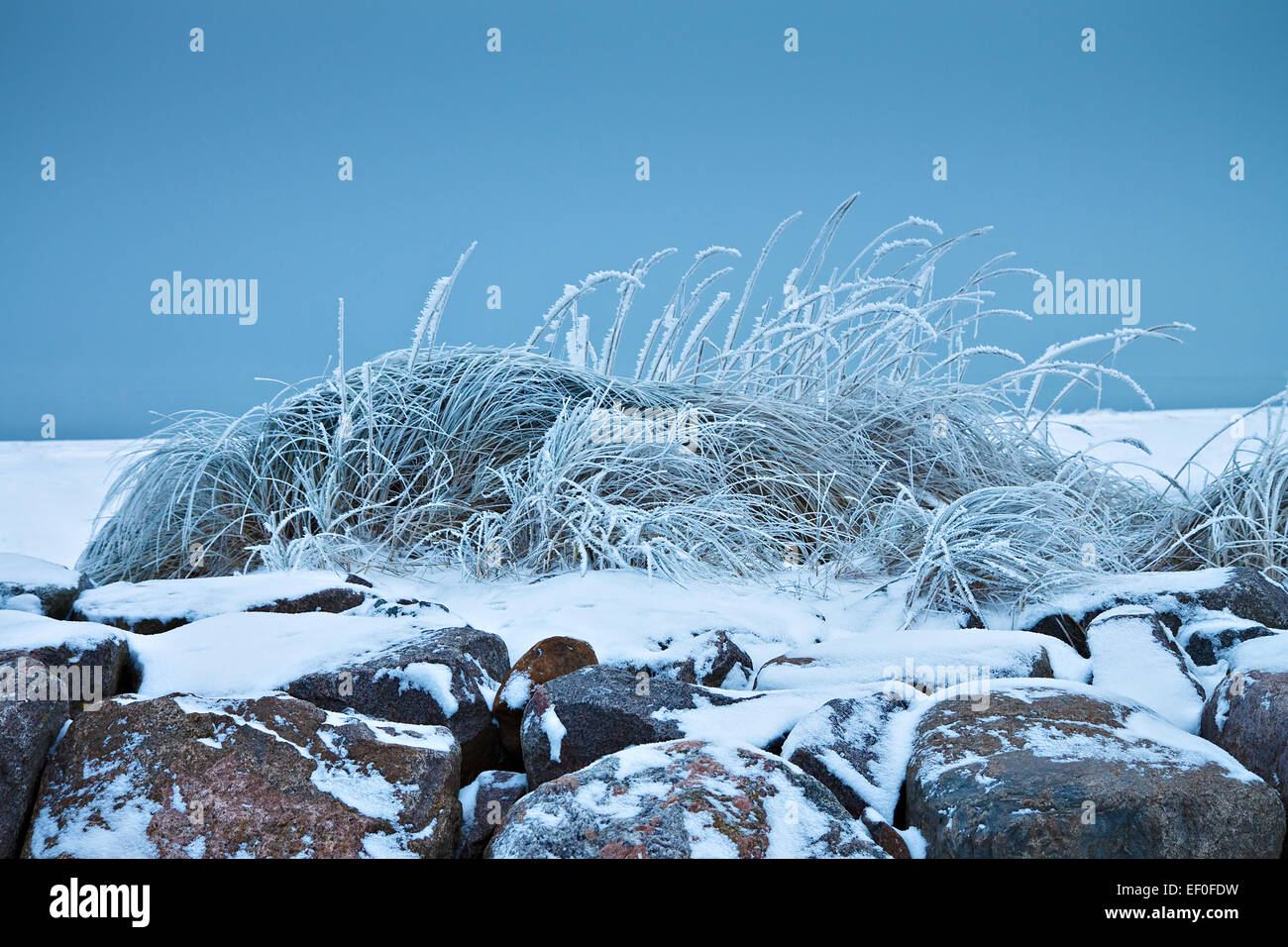 Winter on the Baltic coast. Stock Photo