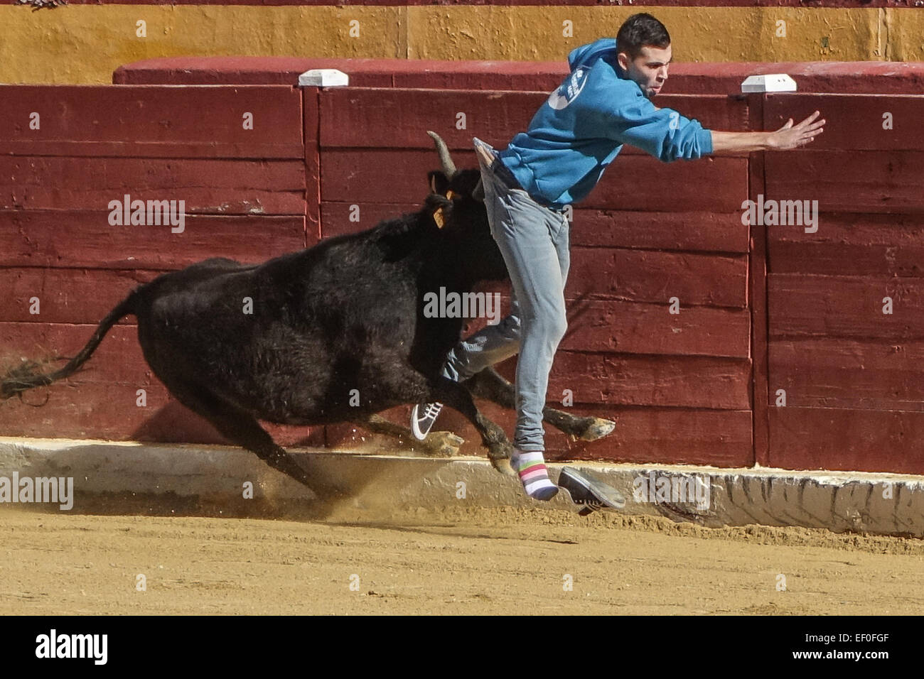 Bull goring hi-res stock photography and images - Alamy