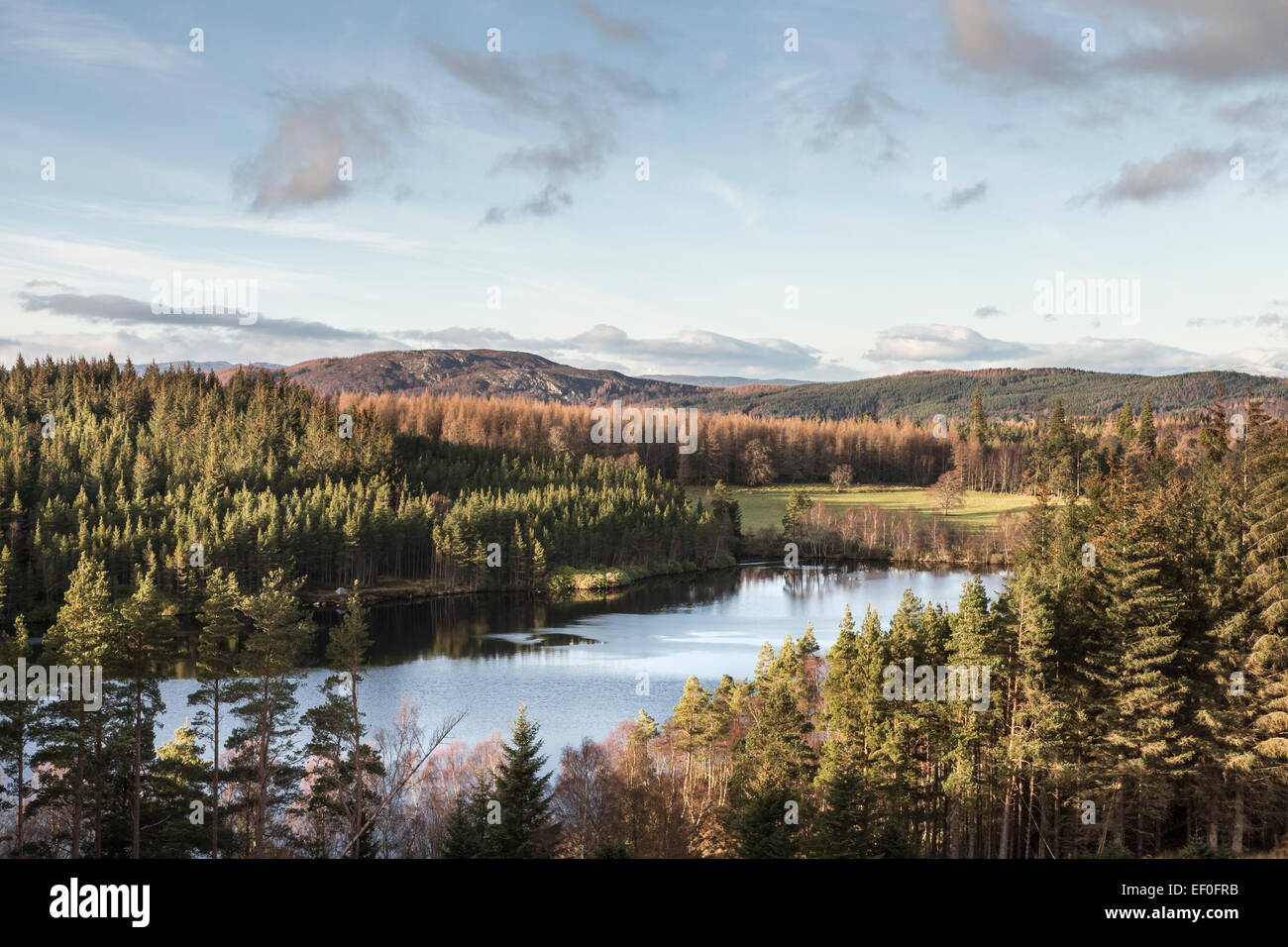 Loch Farr in the Scottish Highlands Stock Photo Alamy