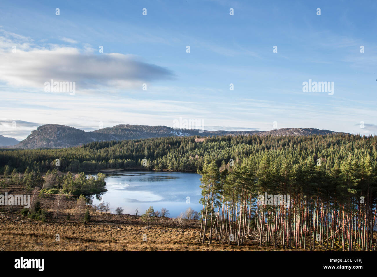 Loch Farr in the Scottish Highlands Stock Photo Alamy