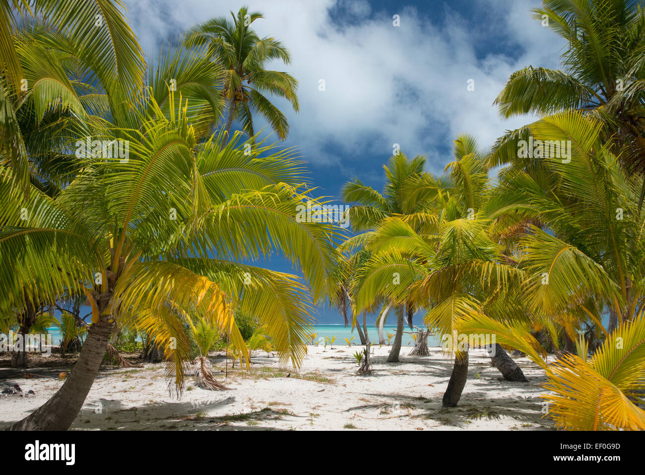 Cook Islands, Aitutaki (aka Araura). One Foot Island, a small "motu" in