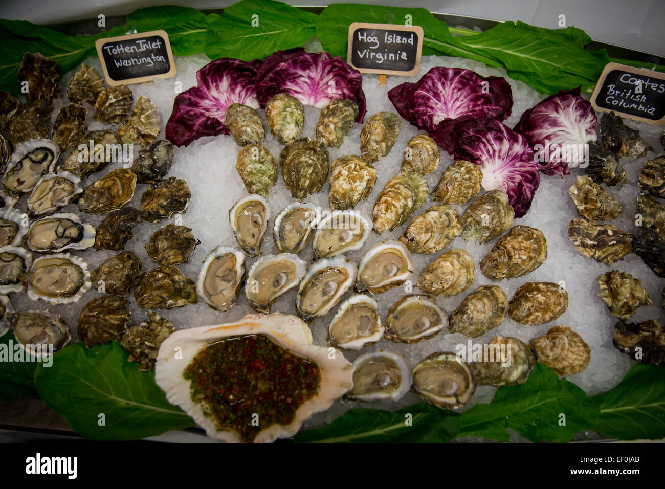 The raw bar with l to r Totten Inlet Hog Island and Cortes