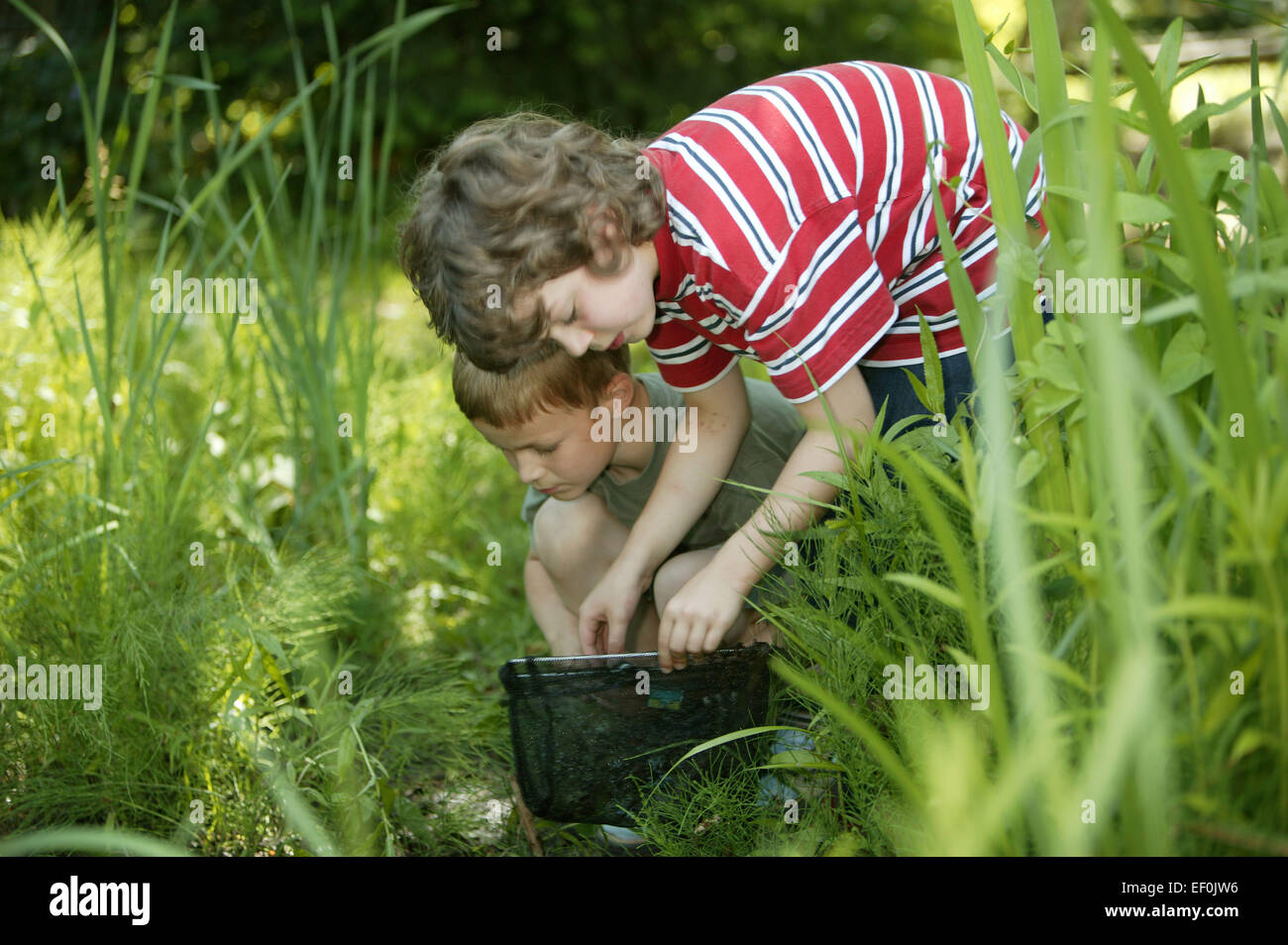 Kescher High Resolution Stock Photography and Images Alamy