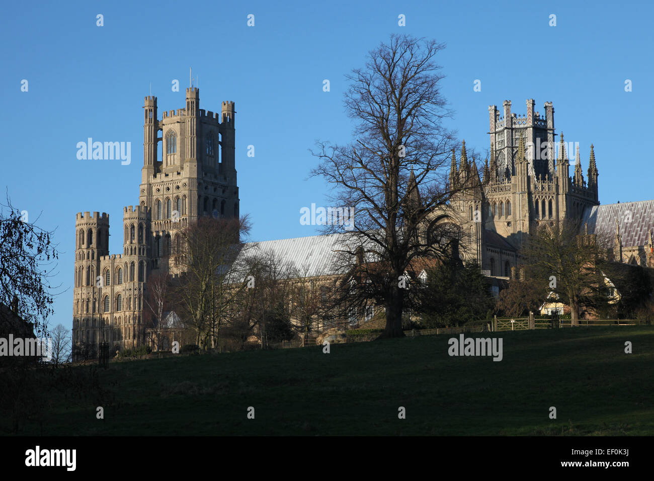 Ely Cathedral on a bright Autumn day Stock Photo - Alamy