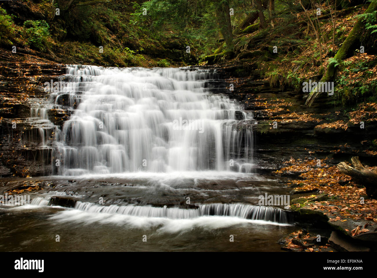 Waterfall landscape at Salt Springs State Park in Franklin Forks