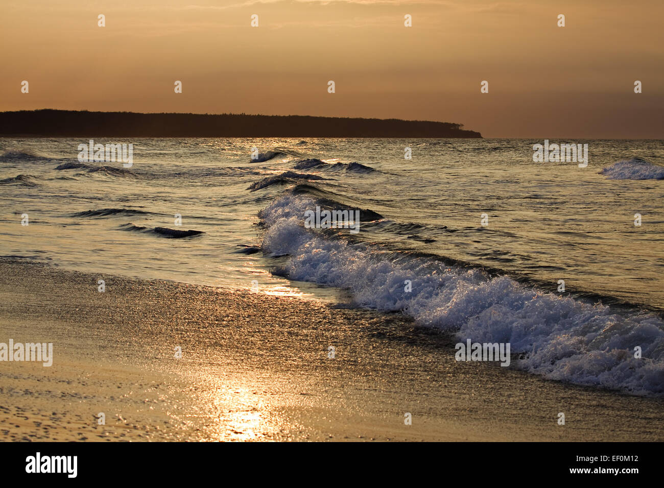 Baltic beach in the evening light. Stock Photo