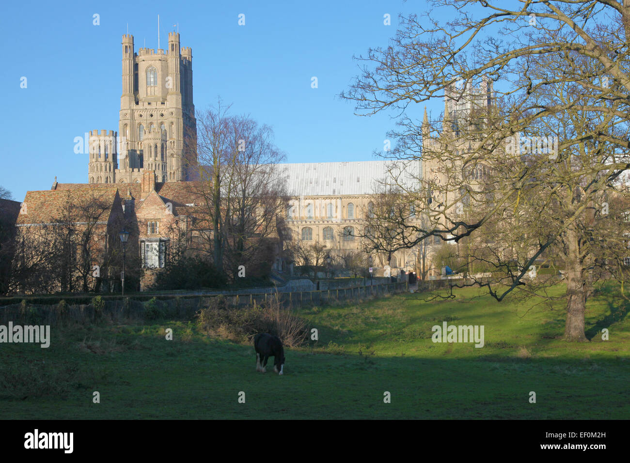 Ely Cathedral on a bright Autumn day Stock Photo - Alamy