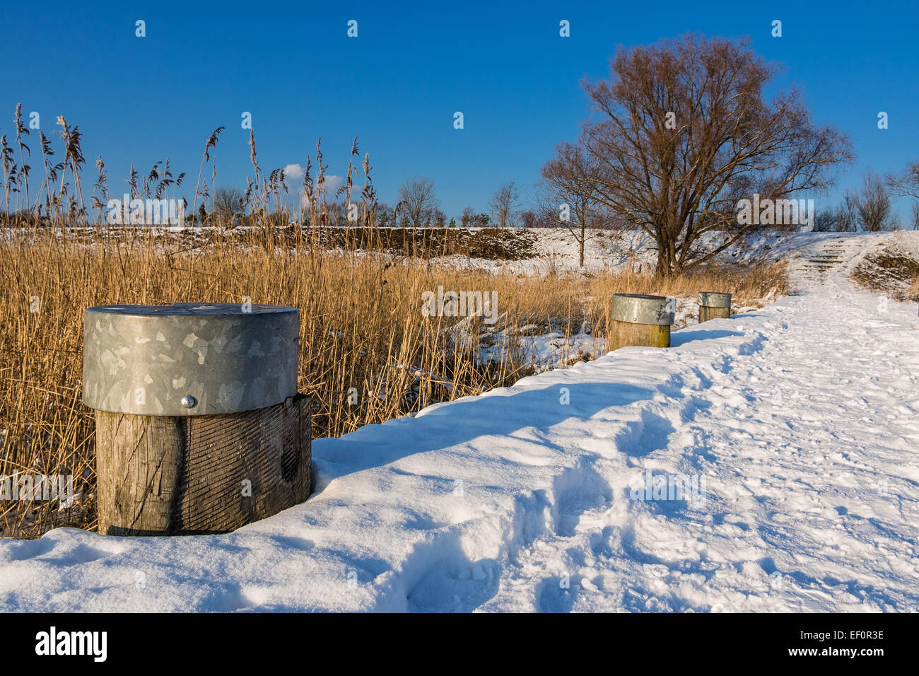 Landscape in winter time. Stock Photo