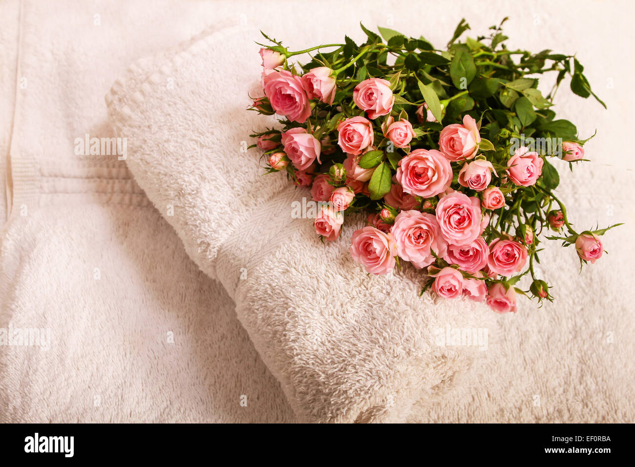 Bunch of small pink Roses on towels, close up Stock Photo - Alamy