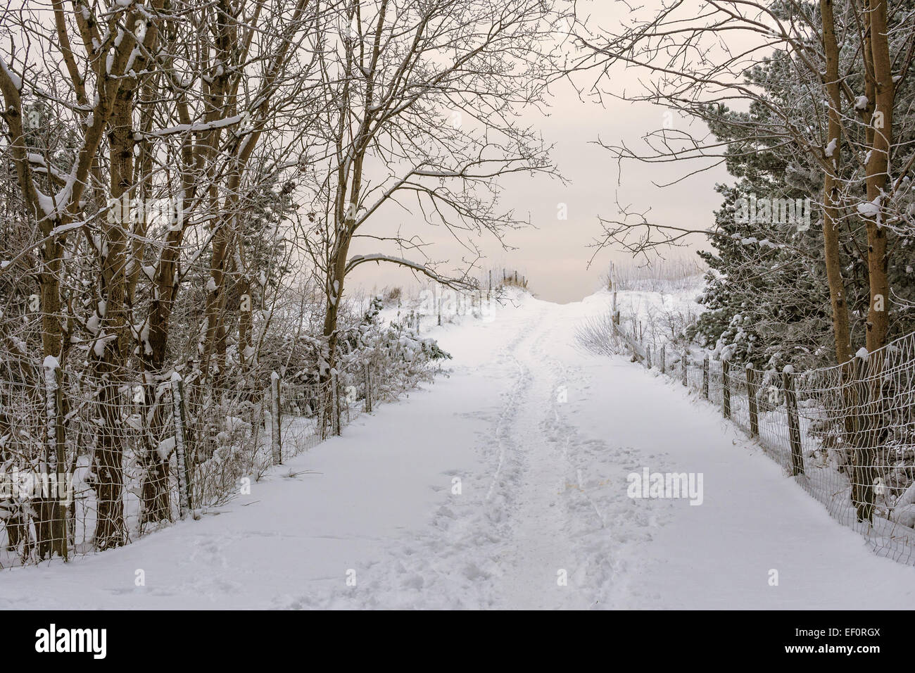 Snow sea landscape hi-res stock photography and images - Alamy