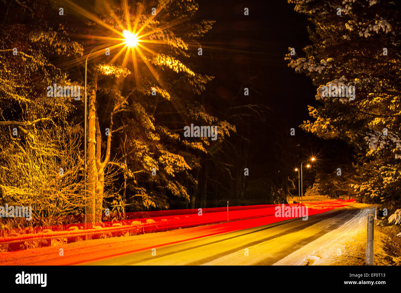 Winter road in the forest Stock Photo - Alamy