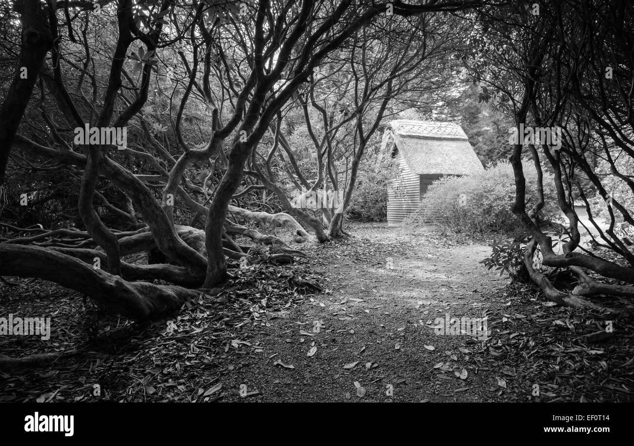 atmospheric black and white image of wooden cabin hidden by trees along a path. Stock Photo