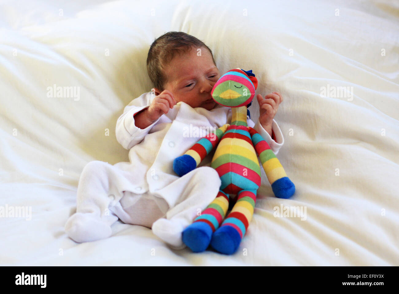 premature baby toys