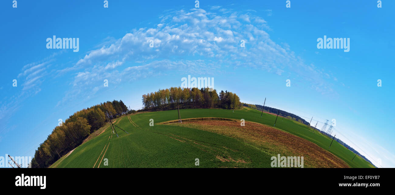 Summer landscape with blue sky, green field and forest on the horizon. Fish-eye effect. Stock Photo