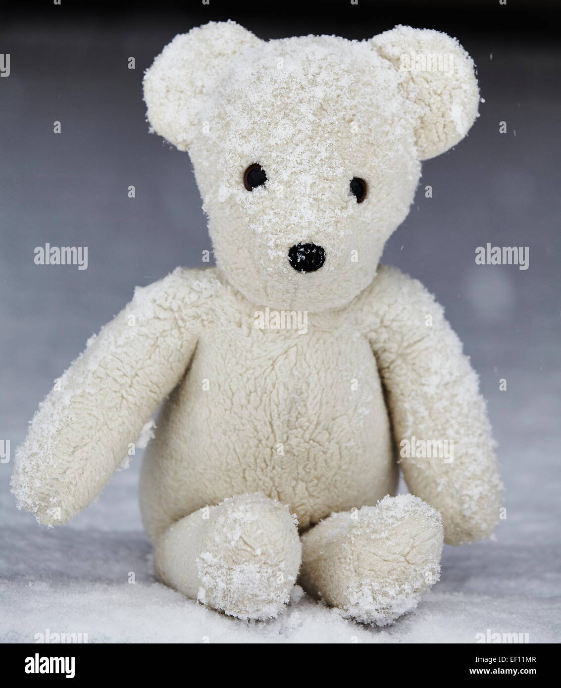 Teddy bear sitting on snow on front porch deck Stock Photo Alamy