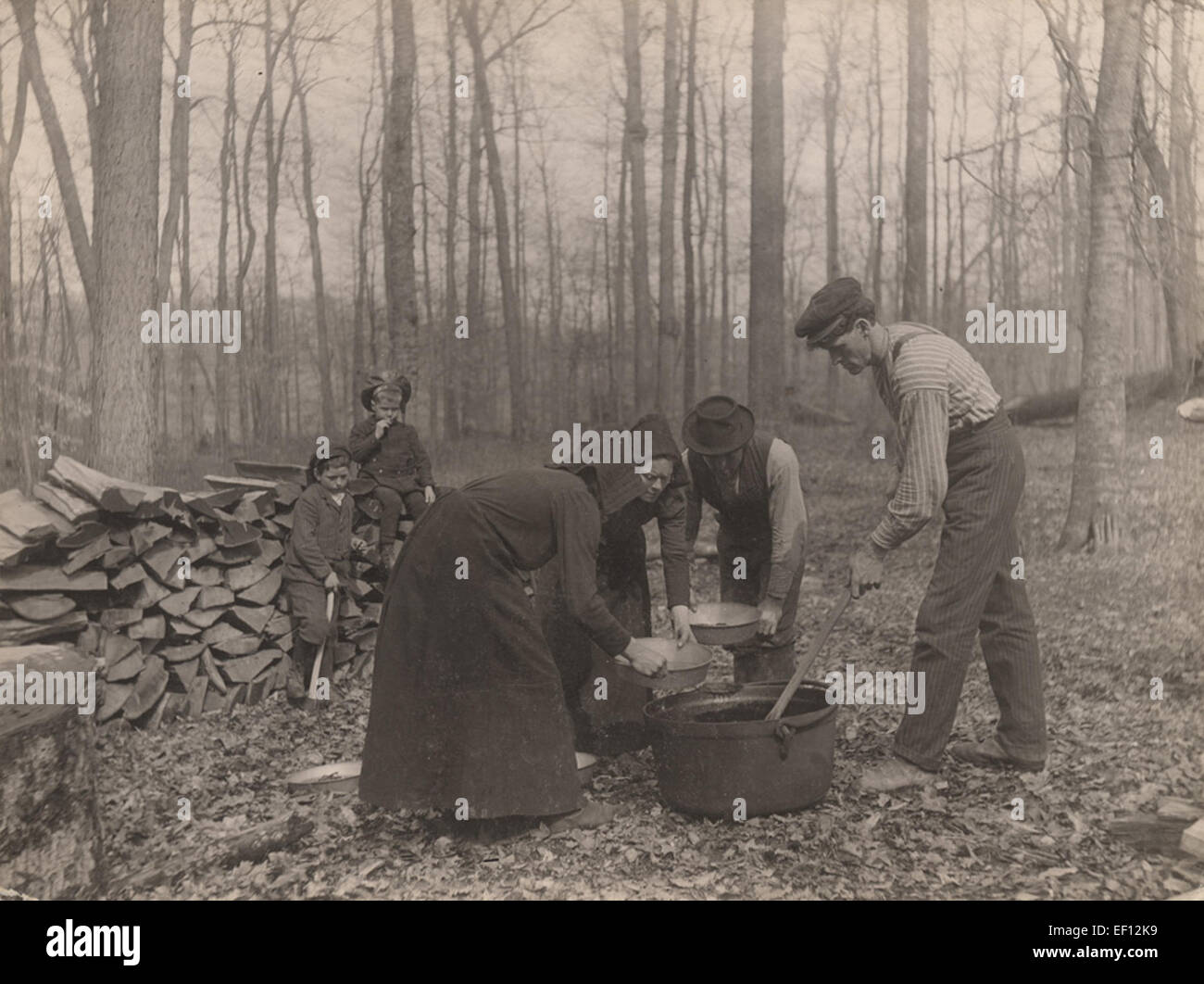 Maple sugar harvesting hi-res stock photography and images - Alamy