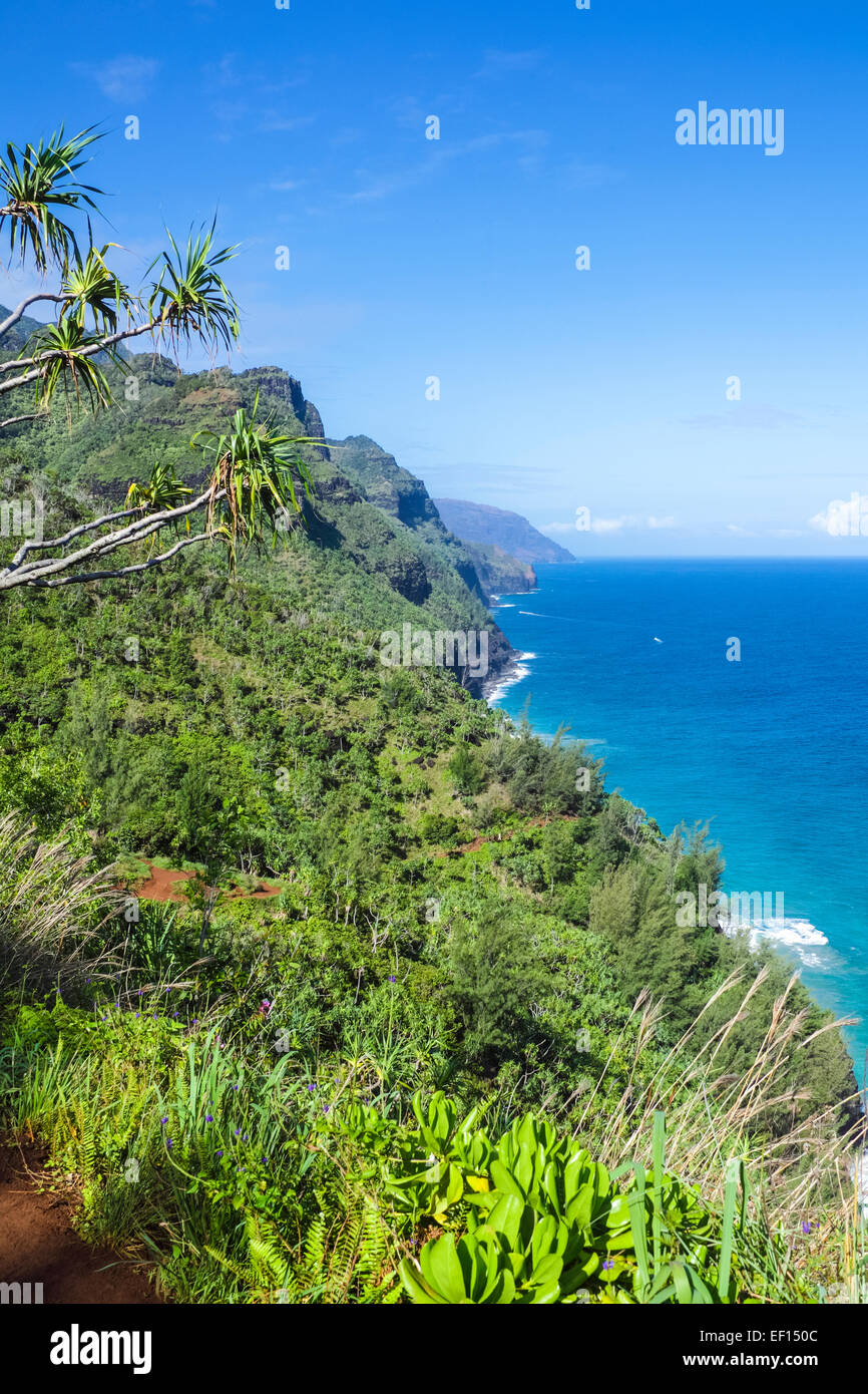 View from the Kalalau Trail on Kauai, with hiker in distance Stock Photo