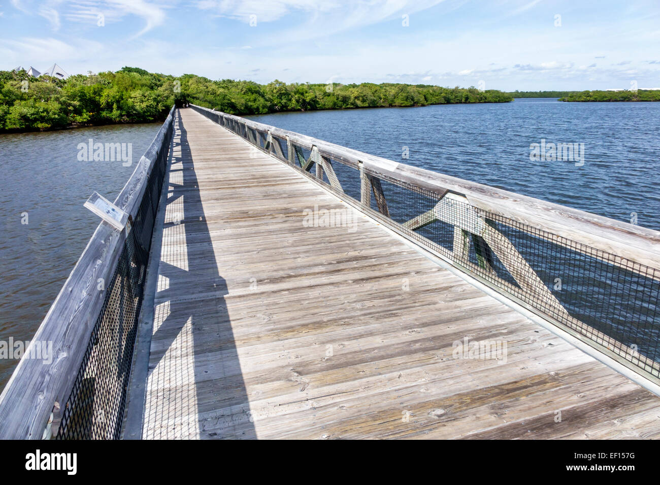 Riviera Beach Florida,North Palm Beach,John D. MacArthur Beach State Park,Lake Worth Lagoon,boardwalk,water,nature,mangrove,FL141120023 Stock Photo