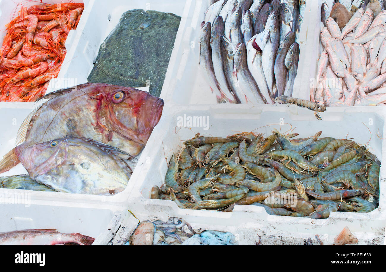 fresh fish, fish market, fishing, sea fish Stock Photo