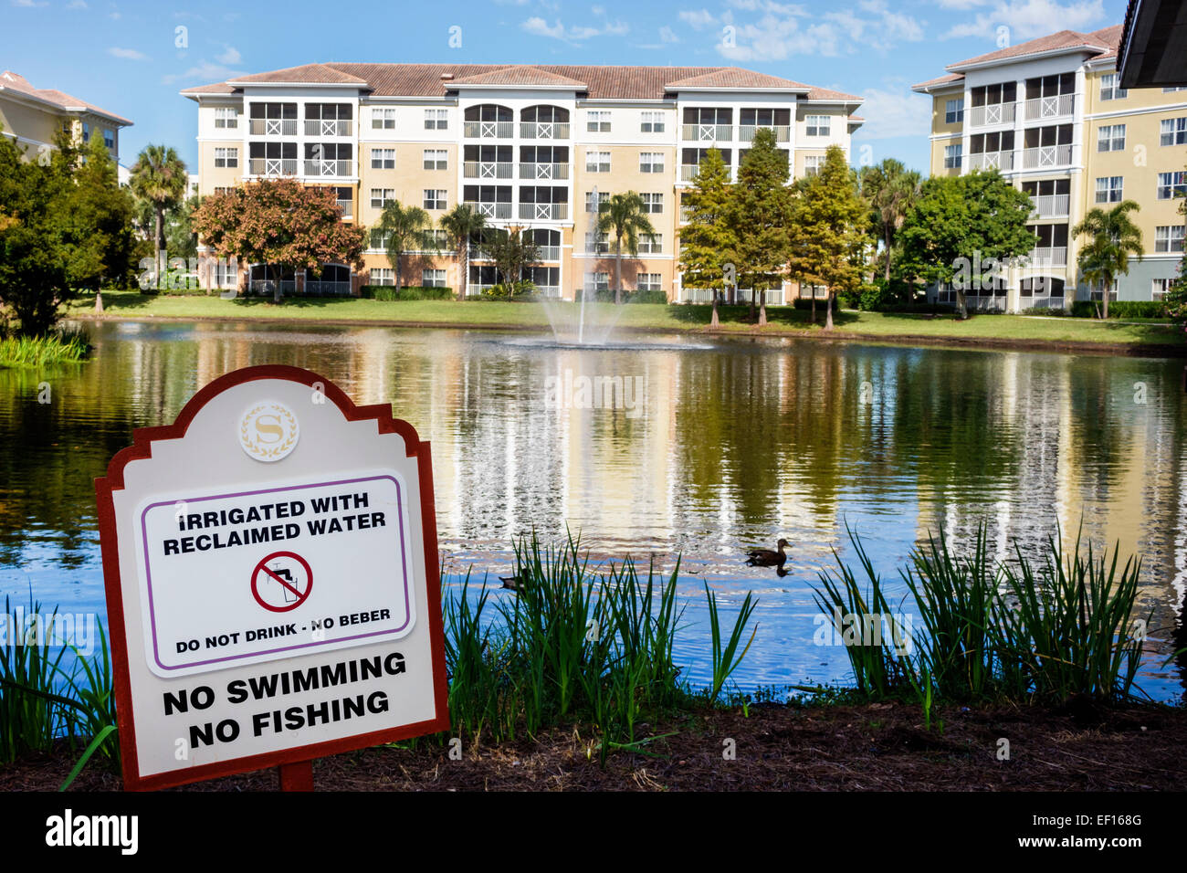 Orlando Florida,International Drive,Sheraton Vistana Villages Resort