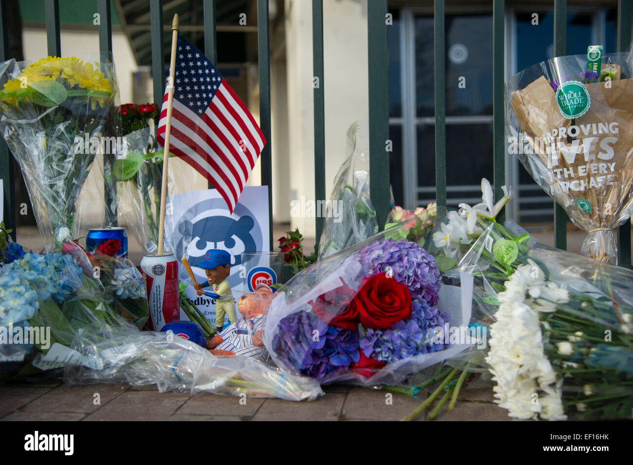 January 24, 2015: Chicago Cubs great and ambassador of Baseball Earnie Banks dies at the age of 83. A memorial is set up by fans outside Wrigely Field. Mandatory credit: Kostas Lymperopoulos/CSM Stock Photo