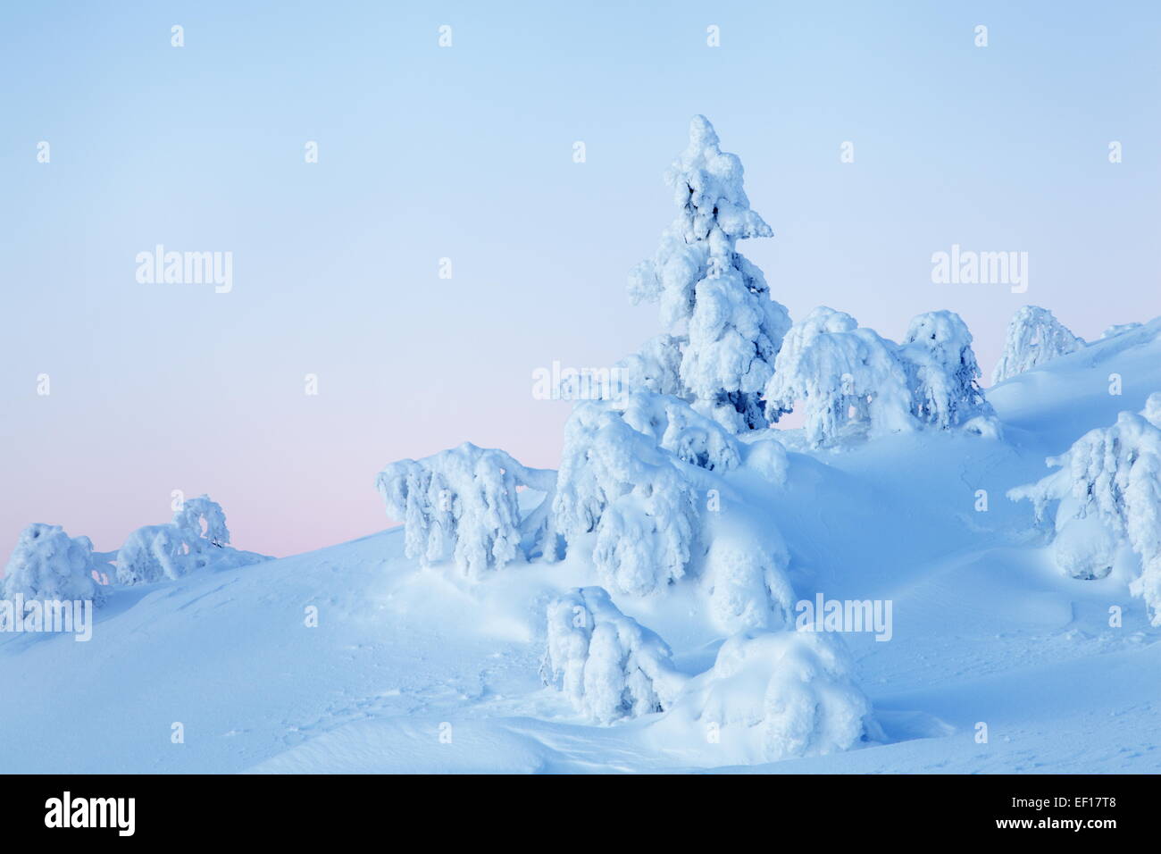 White winter in Swedish Lapland Stock Photo