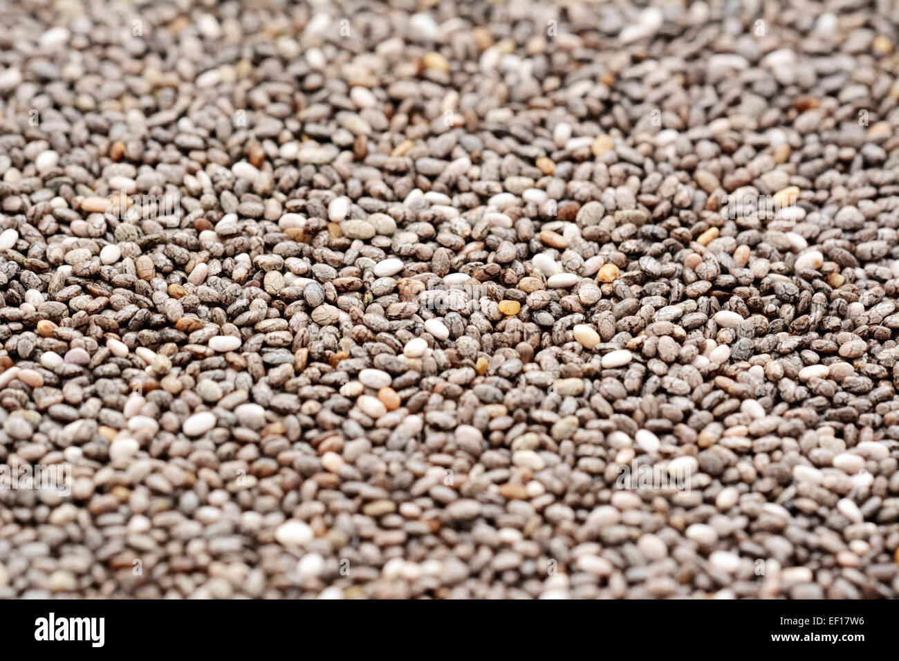 Macro of a swathe of patterned grey chia seeds - shallow focus ...