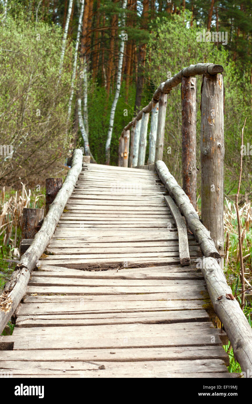 Springtime Forest Bridge bridge in a spring forest Stock Photo - Alamy
