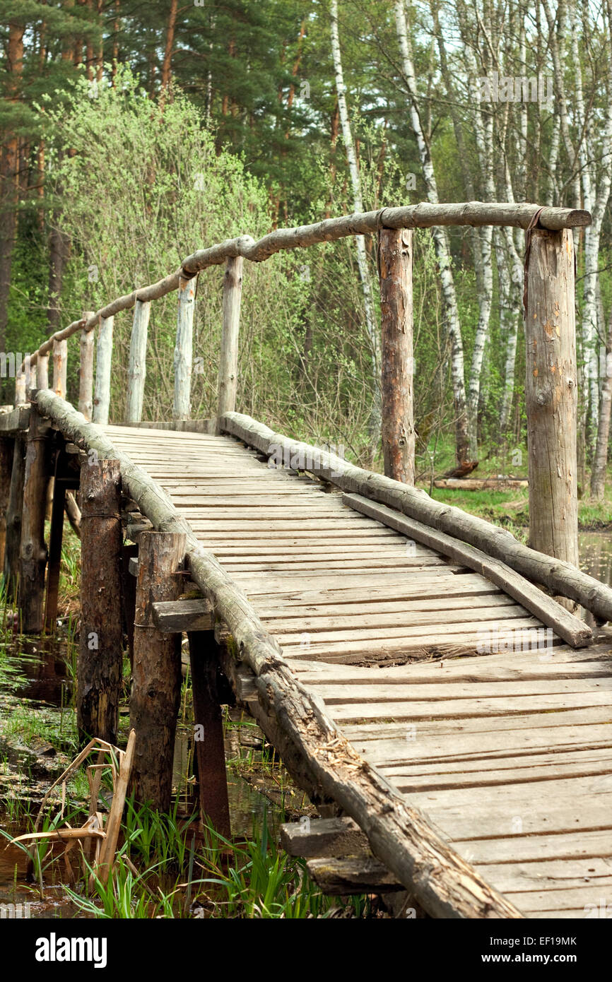 bridge in a spring forest Stock Photo - Alamy