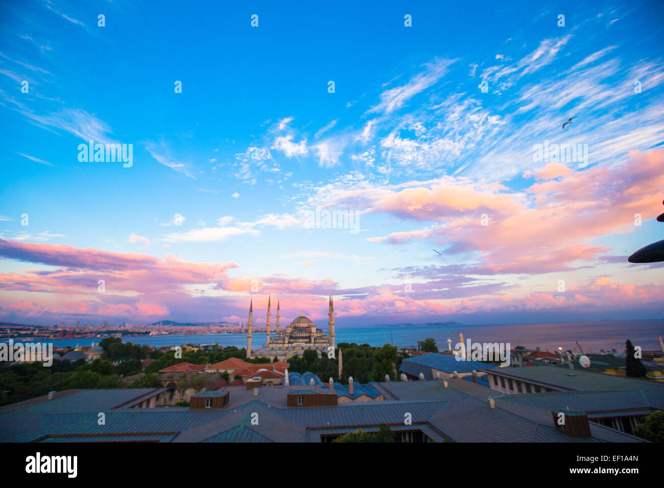 Blue Mosque at sunset in Istanbul, Turkey, Sultanahmet district Stock ...