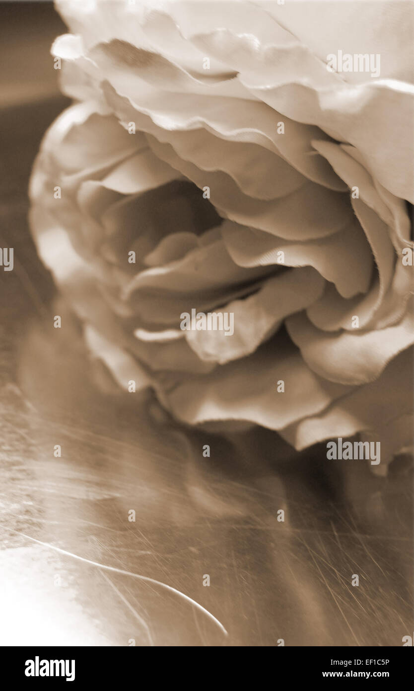 Vintage rose hi-res stock photography and images - Alamy